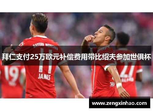 拜仁支付25万欧元补偿费用带比绍夫参加世俱杯